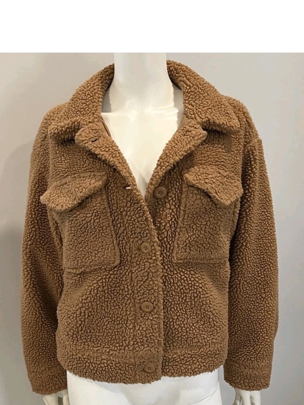 American Eagle Outfitters Teddy Fleece Button-Up Jacket in Brown - Picture 6 of 7